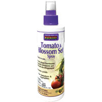 Bonide 543 Tomato and Blossom Set, 8 oz Bottle, Liquid, Olive Green, Slight Musty