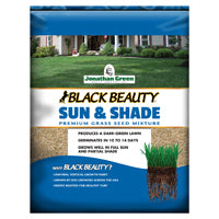 Jonathan Green Black Beauty 12001 Grass Seed, 1 lb Bag