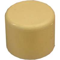 Nibco C4717 3/4 S Cap CPVC Cts T00220D