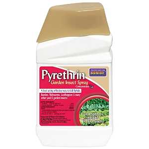 Bonide Pyrethrin Garden Insect Spray Concentrate, 16 oz 858