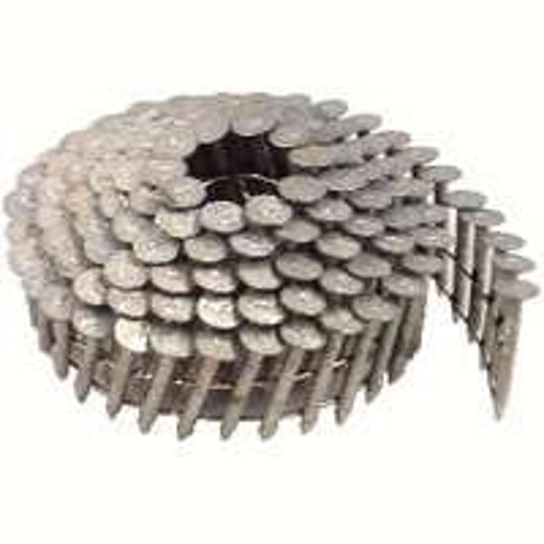 Maze Nail Roofing 1-1/4"L Galvanized Steel CLWR102019