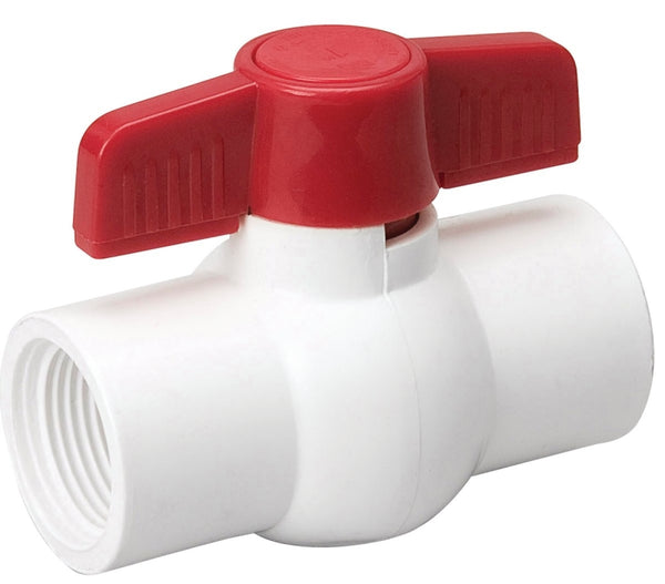 B & K 107-136 1-1/4" Ball Valve, 1.25" FPT x FPT White 107-136/HC