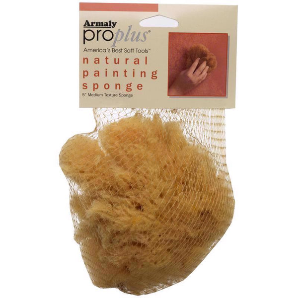 Armaly Brands 15216-7 Sponge PNT Med Txtur6