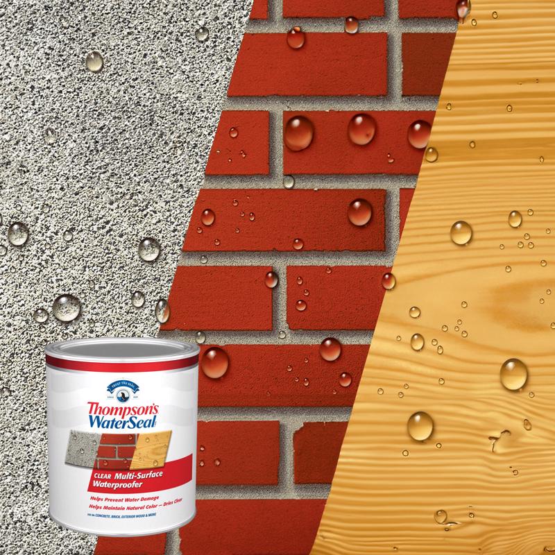 Thompson's WaterSeal Multi-Surface Waterproofer Stain, Clear, 1 Quart TH.024104-14