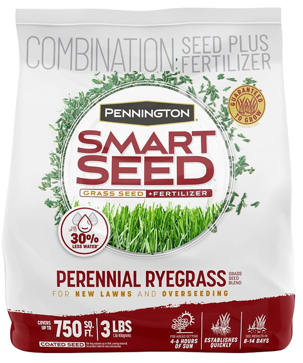 Pennington Smart Seed Perennial Ryegrass 3 lb 100543717
