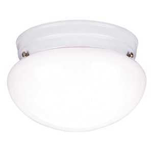 Westinghouse 66699, One Light White