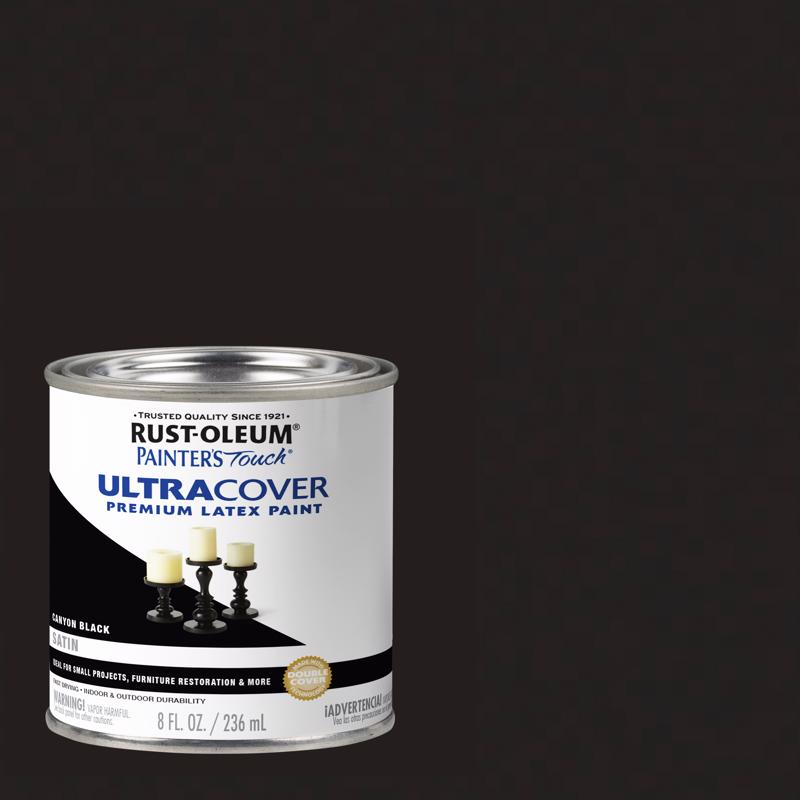 Rust-Oleum Latex Paint Indoor / Outdoor Satin Canyon Black 8 Oz