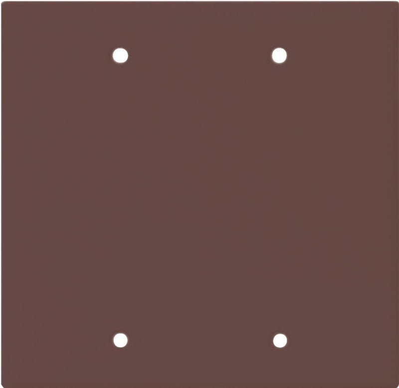 2137b-Box 2g Blank Plate Brn