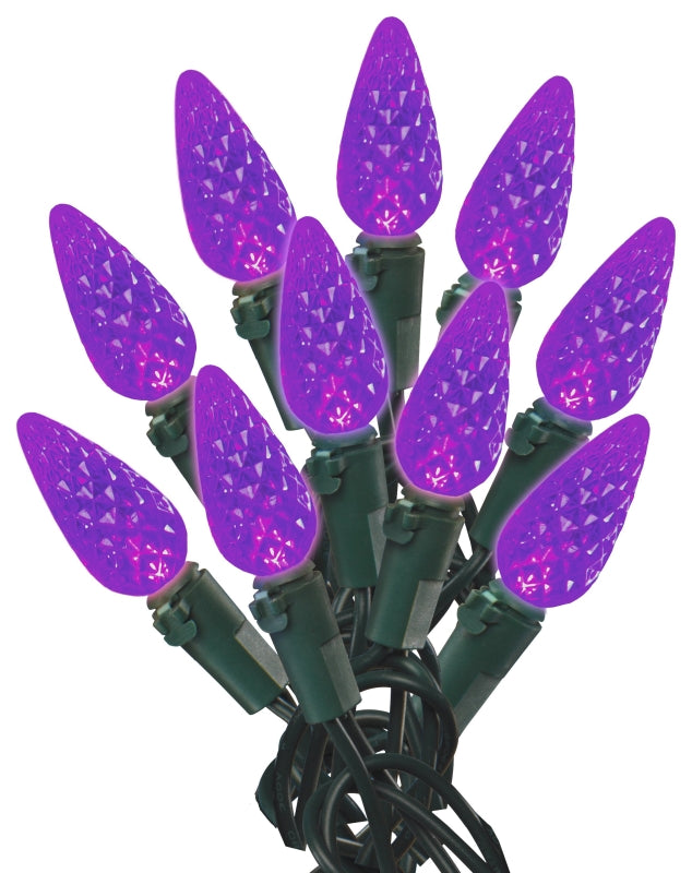 Holidaybasix 1680479 C6 LED Light, Purple - 60 Count