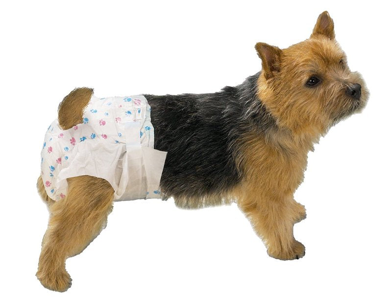 ClearQuest Disposable Doggy Diapers, 10-Count, Leakproof, Super Absorbent