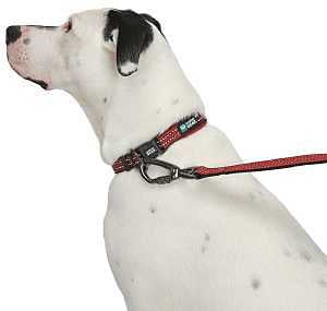 Guardian Gear Reflective Nylon O-Ring Dog Collars (Small, Red)