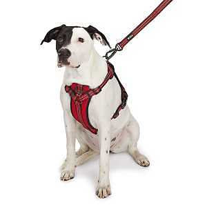 Guardian Gear GG Reflective Nylon Harness M Red