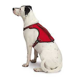 Guardian Gear GG Reflective Nylon Harness L Red