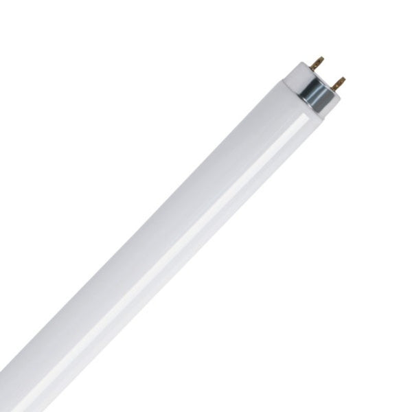 Feit Electric F15T8/CW 15W Cool White 18" Fluorescent T8 Tube G13 Bi-Pin Base F15T8/CW/RP