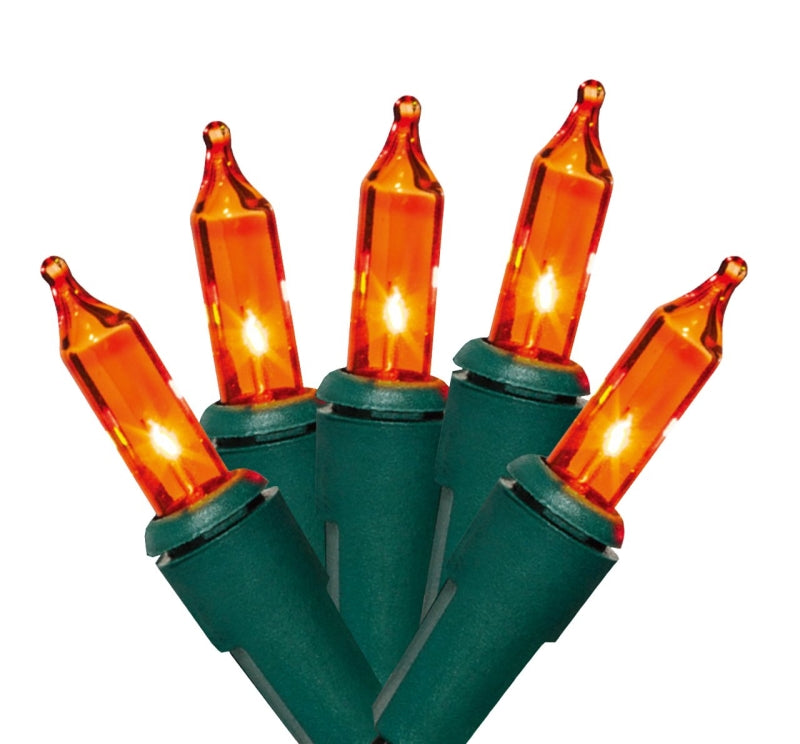 J HOFERT CO Hometown Holidays Mini Light Set, 100