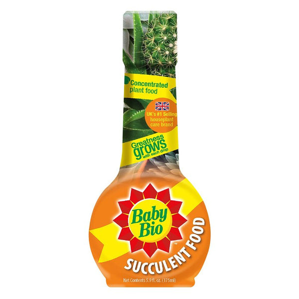 BioAdvanced Food Succulent 800520A (12-Pack)