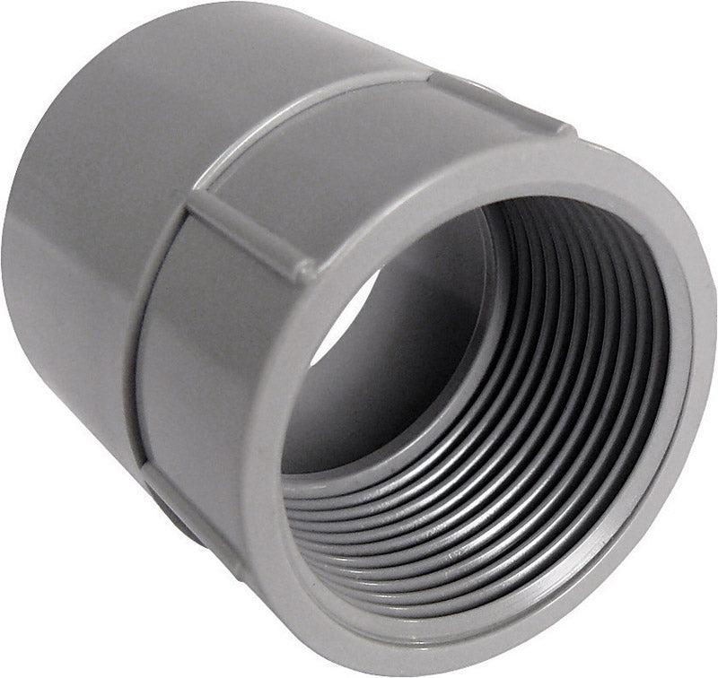 Cantex 3 in. Dia. PVC Female Adapter (5140050C)