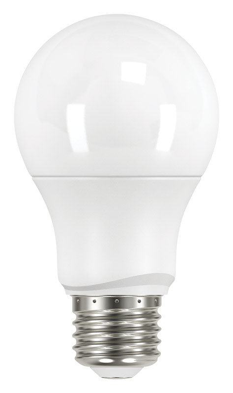 Satco S9590 Type A Light Bulb, Warm White