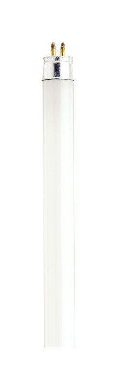 Satco S1904 4100K 8-Watt Mini Bi Pin T5 Preheat Lamp, Cool White, Frosted