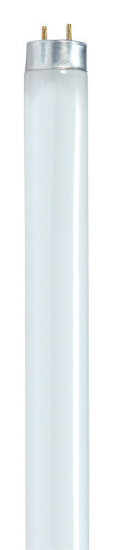 F17T8 FLUOR LAMP CW