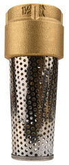 Water Source TFV150NL Foot Valve