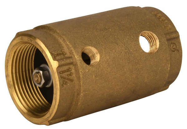 Water Source Control Center Check Valve, Brass, 1-1/4-In. CCC125-NL