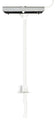 Cobra Anchors Toggle Bolt Flip 1/4-20 425R