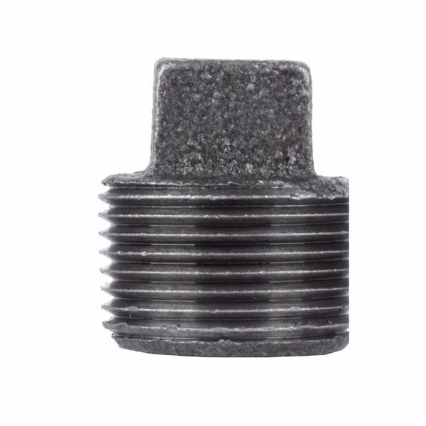 STZ Industries 3/8 in. MIP each Black Malleable Iron Plug 310P-38