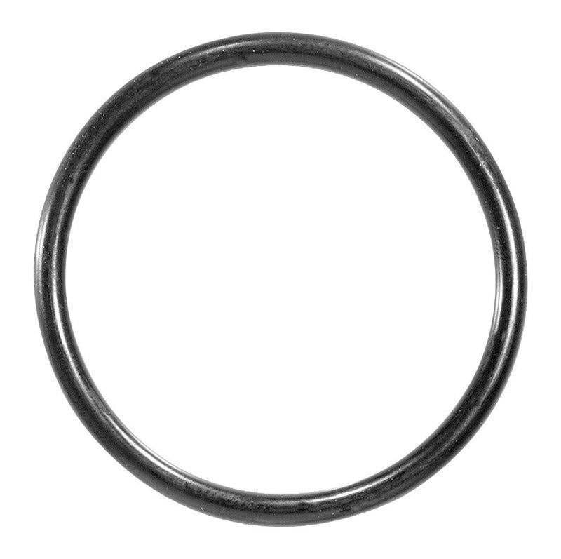 Danco 2 in. OD x 1-3/4 in. ID, Rubber, #100 O-Ring, 1 per bag, 35880B