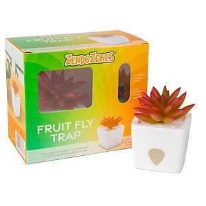 ZendoZones Succulent Fruit Fly Trap – Joyful Janet Design with White Base – Eco-Friendly Indoor Fruit Fly Control – Easy-to-Use Decorative Trap