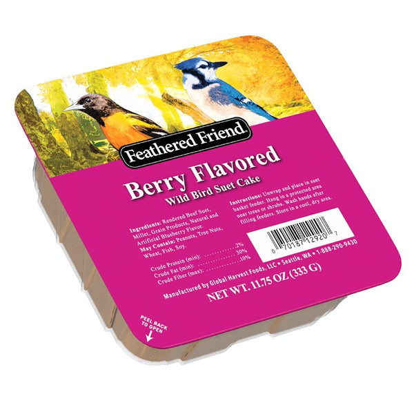 Audubon Park 13066 Berry Treat Suet Cake Wild Bird Food, 11.75-Ounces