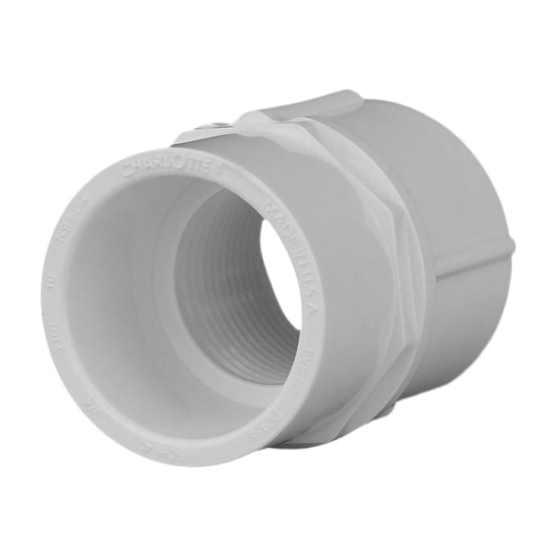 Charlotte Pipe 3/4 in. Slip x 3/4 in. Dia. FPT Pipe Adapter