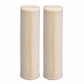 Culligan S1A Whole House Standard Water Filter, 16,000 Gallons, 2 Count (Pack of 1)