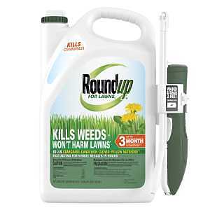 Roundup for Lawns₁ Ready-to-Use with Extended Wand, Tough Weed Killer for Use on Northern Grasses, 1 gal.
