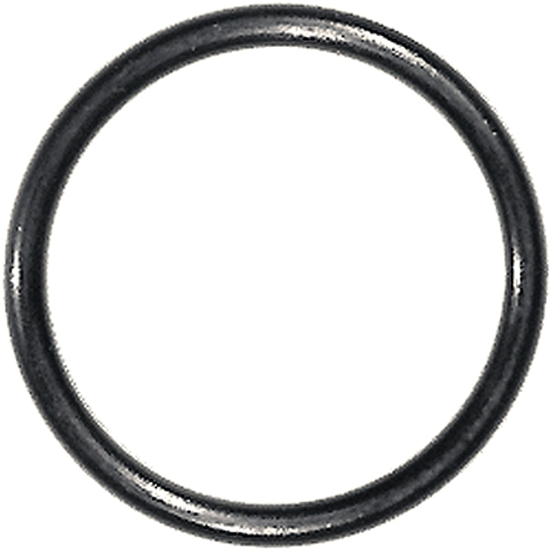 Danco 13/16 in. OD x 11/16 in. ID, Rubber, #67 O-Ring, 10 per Card, 96784