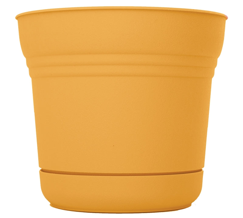 Bloem Saturn Round Planter with Saucer Tray: 12" - Earthy Yellow - Durable Plastic Pot, Matte Finish, Removable Saucer, for Indoor & Outdoor Use, Gardening, 3 Gallon Capacity