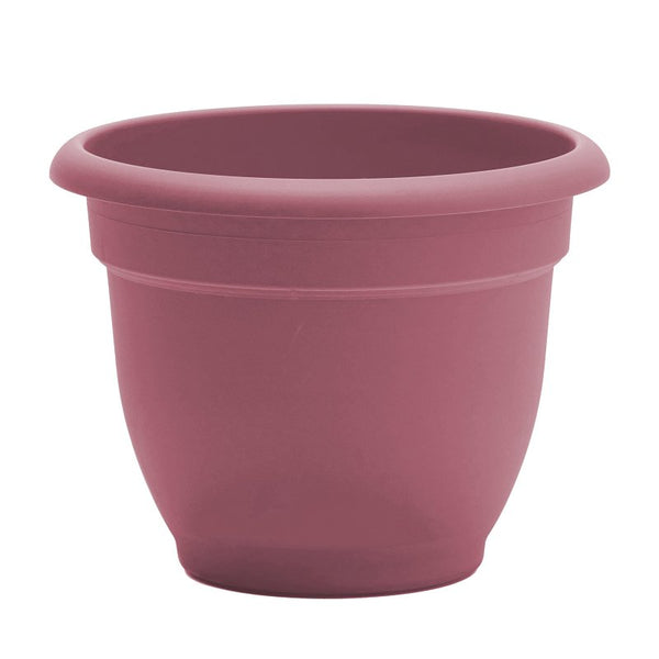 Bloem Ariana 6" Dusty Rose Round Self Watering Planter Pot - Rolled Rim Plastic Resin Indoor or Outdoor Gardening Planter with Drainage Holes, Made in USA AP0634