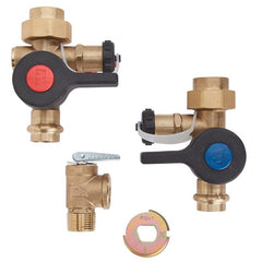AO Smith 9007604005 Isolation Valve Kit 100112156