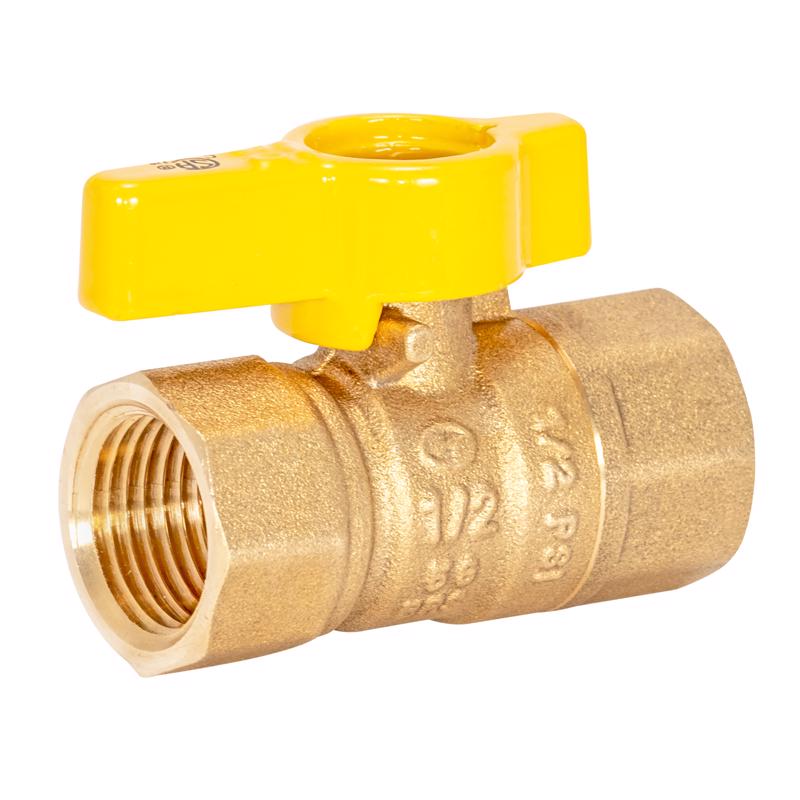 Eastman 1/2 Inch FIP Gas Ball Valve, Brass Connectors and Fittings for Natural Gas and Liquid Propane, 60009B