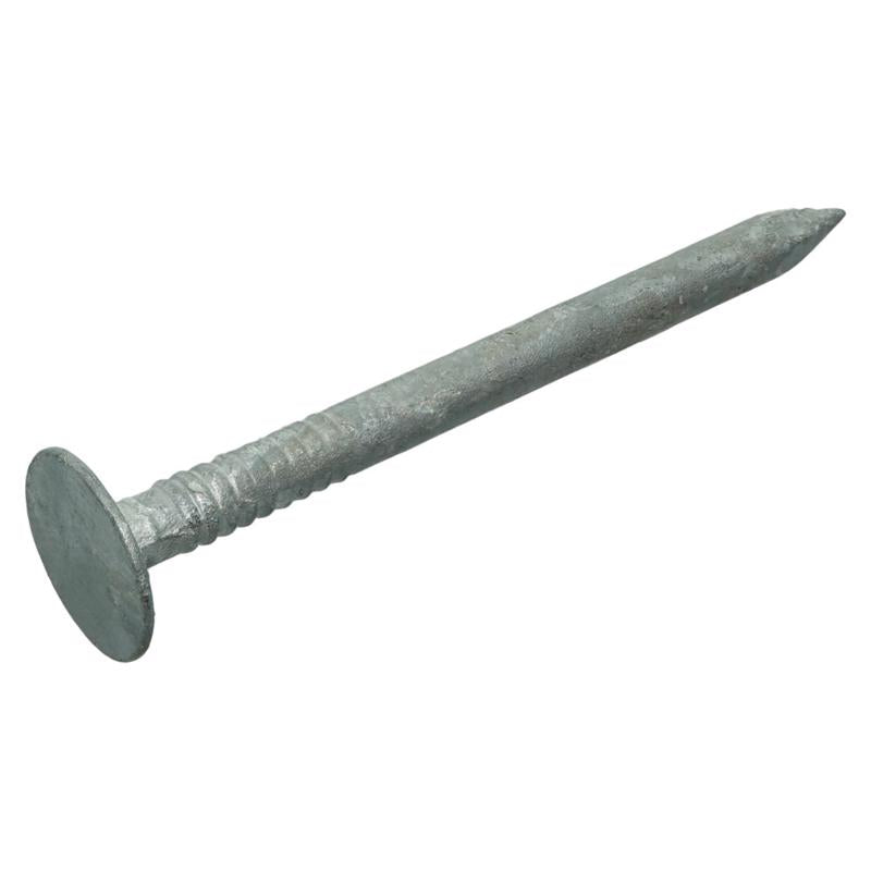 Grip-Rite No. 11 1-3/4 in. Roofing Hot-Dipped Galvanized Steel Nail Round 1 lb. - Case of: 12;12