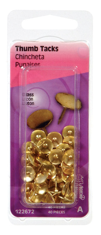 The Hillman Group Brass OOK+122672 Thumb+Tack, Pack of 1