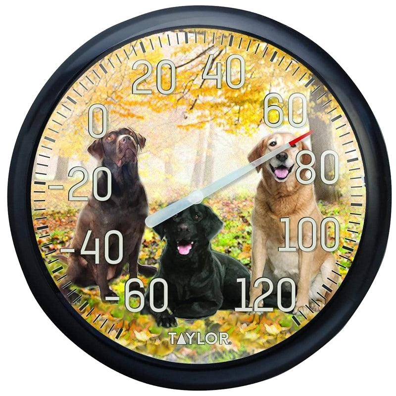 Taylor Weather Resistant Shatterproof Dial Thermometer, No Size, Black & Yellow