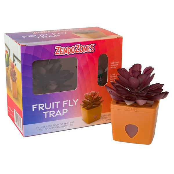 JT Eaton ZendoZones Succulent Fruit Fly Trap - Mellow Molly Design with Terracotta Base - Eco-Friendly Indoor Fruit Fly Control - Easy-to-Use Decorative Trap 1820-MM