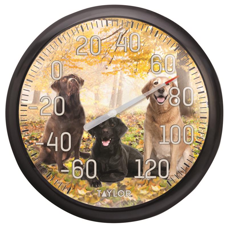 Taylor 6703N 13-1/2" Labrador Thermometer2