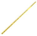 CHARLOTTE PIPE 3/4 IN x 2 FT CPVC CTS SDR11 PIPE HOT AND COLD WATER DISTRIBUTION (1 Unit Piece) Cts 12007 0200R