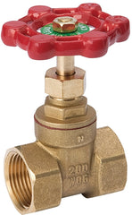 B & K 100-403NL 1/2" FIP Gate Valve FPT