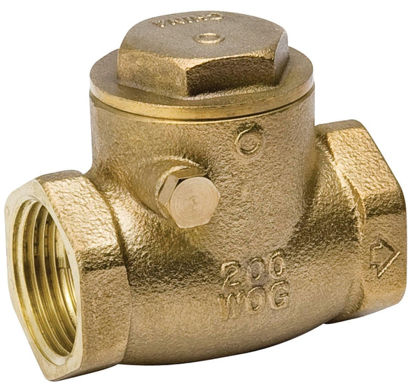 Proline Power B & K 101-008NL 2" Check Valve
