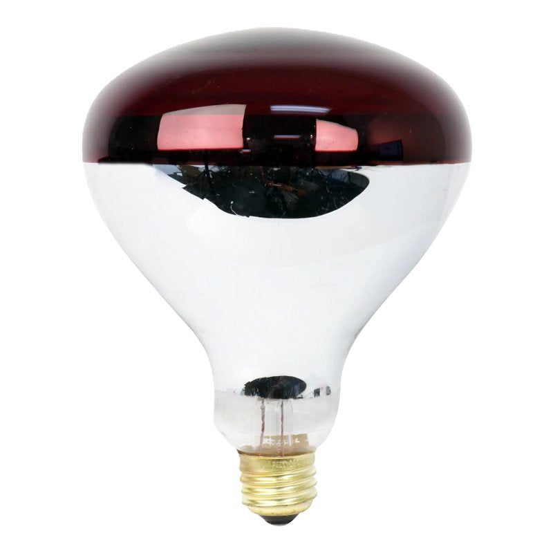 FEIT ELECTRIC 250R40/R Heat Lamp