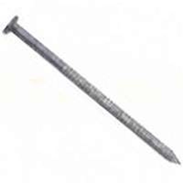 MAZE NAILS T447A530 Ring Shank Pressure Treated Wood Nail PTL, 5-Pound 8D