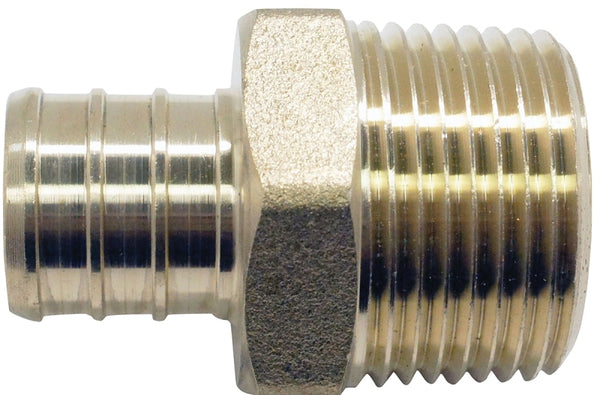Conbraco Adapter PEX 1IN Brass Male APXMA11